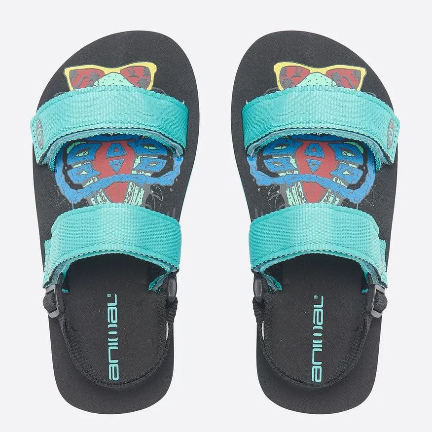 Animal Boys' Bodhy Boys Flip Flop